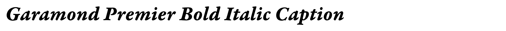 Garamond Premier Bold Italic Caption image